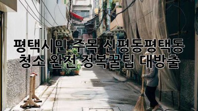 ✨평택시민 주목!✨ 신평동&평택동 청소 완전 정복🧹꿀팁 대방출!