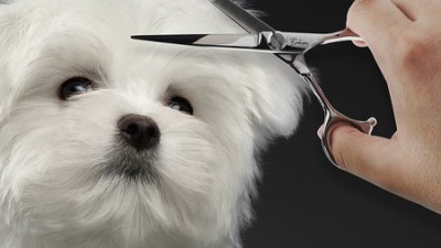 일자요술가위 전문가용: 득템 찬스! 후기와 꿀팁 대방출!